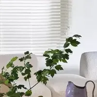 メリディアーニ、日本市場拡大