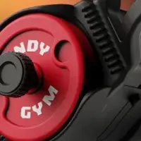 Handy Gym日本上陸