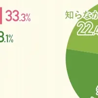 会計事務所の資金繰り支援