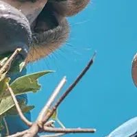 熊本市動植物園の春