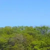 フィルフリーク『アオカゼ』MV公開