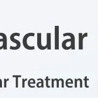 Global Vascularの挑戦