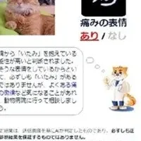 猫の痛み見抜くAI