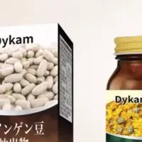 Dykamの売上突破