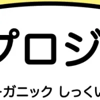 漆喰とDIYプロジェクト