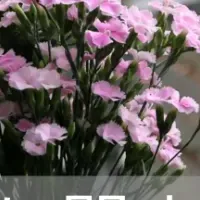 檀家継承の現実