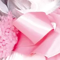 パニパニパイナ！