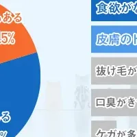 ペット保険未加入者の実態