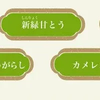 甘とう総選挙の詳細