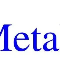 MetaMusicの資金調達