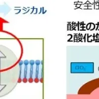 膀胱癌治療薬治験開始