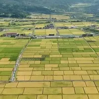 与謝野町インターン