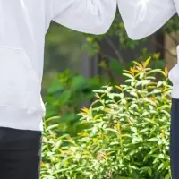 無味無臭栄養パウダー『Ayo™』