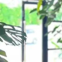 沖縄の植物カフェ