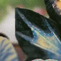 「イエローマーガリン」公開