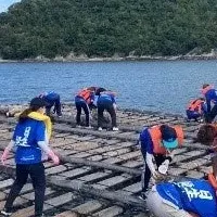 里海保全活動