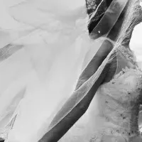 50代の誓いセレモニー