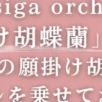 願掛け胡蝶蘭で幸せを呼ぶ