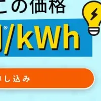 電力買取価格予測