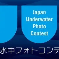 水中フォトコンテスト開催