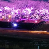 一目千本桜の冬イベント