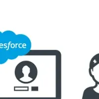 クオンツのSalesforce支援