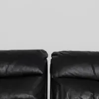 新作カーペット展