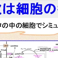 細胞シミュレーション技術