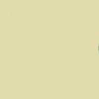 SNSコンサルが始動