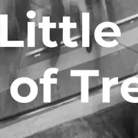 2024年トレンド予測