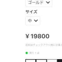 iishinaXR Shopify連携