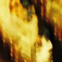 Hidetoshi Koizumiの新作