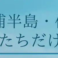 三浦半島クルージング