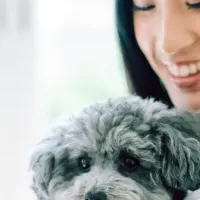 犬とブリーダーを81つなぐ