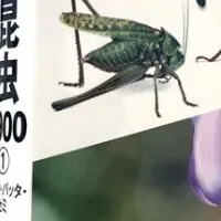 昆虫図鑑『日本の昆虫1900』