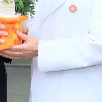 オレンジガーデニング