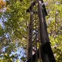 飛騨高山の森の秘密