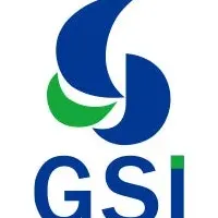 GSI、取締役体制強化
