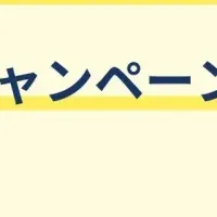 省力化補助金申請サポート