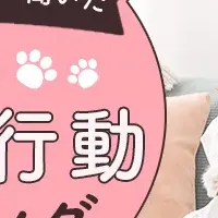 猫好きが選ぶ！愛猫ベスト10