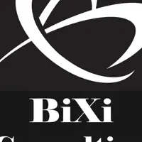 BiXiコンサルティング設立