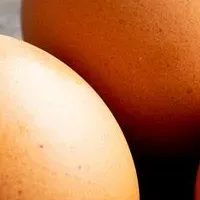卵の食べ方調査