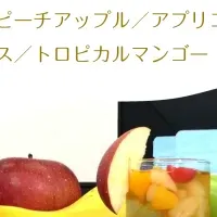 だんぼーる本舗 水出し紅茶 プレゼント