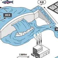 Hydro Flaskとサクラマス再生