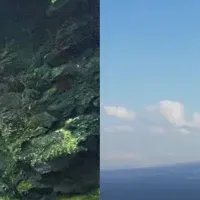 富士観光トラベル