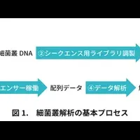 細菌叢DNA抽出サービス開始