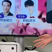 野島兄弟くじメイト特番