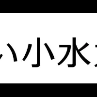 小水力発電会社設立