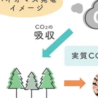 泉佐野市、木質バイオマス発電