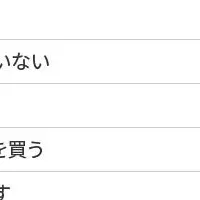 定額減税効果は？国民の声